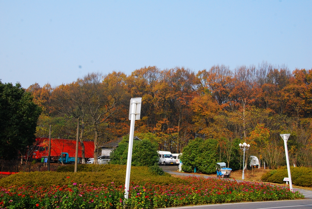 DSC_0387.jpg