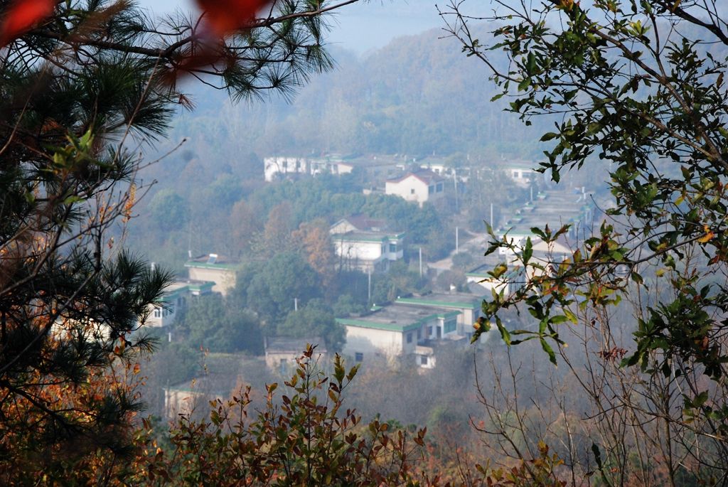 DSC_0392.jpg